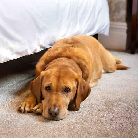 The Stanley Suite 1 Bedroom Apt Dog Friendly Patio Harrogate Eksteriør billede